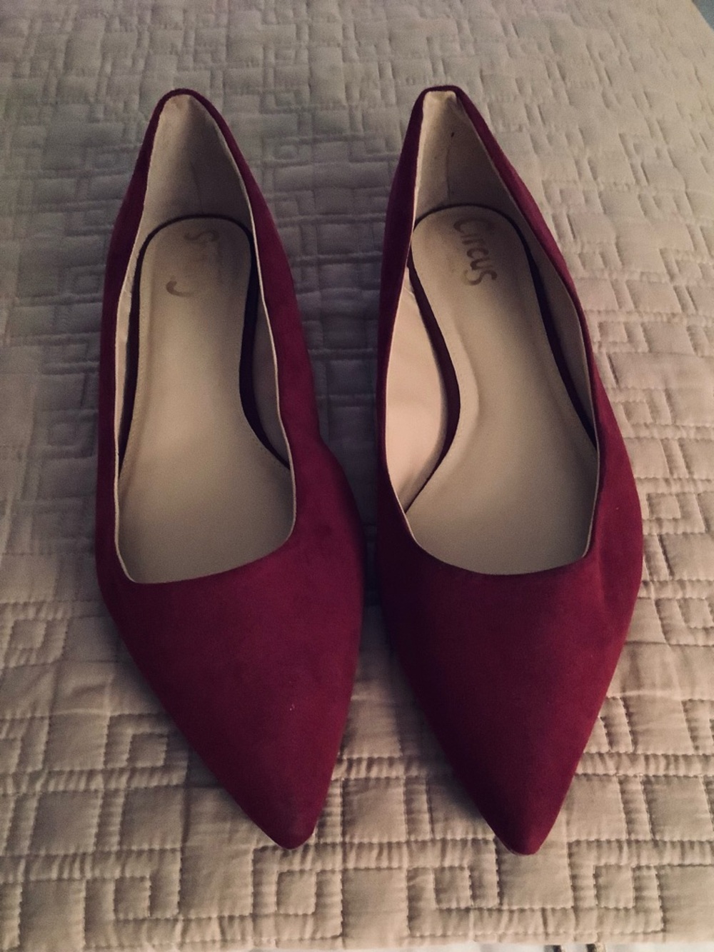 Circus by Sam Edelman Wine Colored suede Pointed Toe Ballet Flats Sz 13M